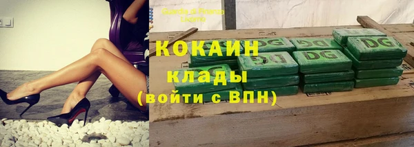 сатива Елабуга