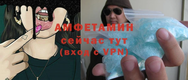 сатива Елабуга