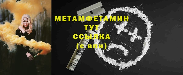 сатива Елабуга