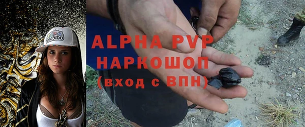сатива Елабуга