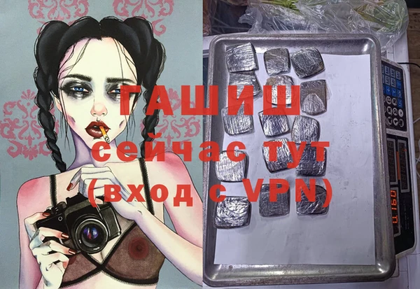 сатива Елабуга