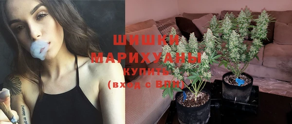 сатива Елабуга