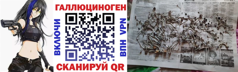 Псилоцибиновые грибы MAGIC MUSHROOMS  Купить где  Копейск 