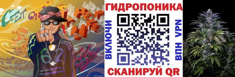 Бошки марихуана AK-47  Купить закладки  Копейск 
